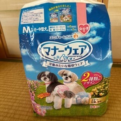 ユニ.チャームマナーウェアオムツMサイズ22枚の画像