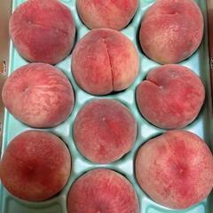 朝どり🍑あかつき桃🍑家庭用 桃 3キロ茶箱の画像