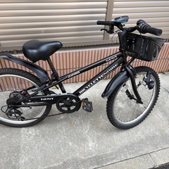 22インチ子供自転車の画像