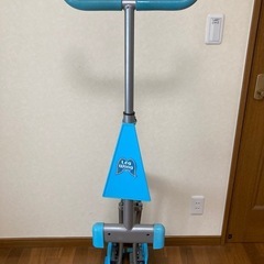 レッグウィング　の画像