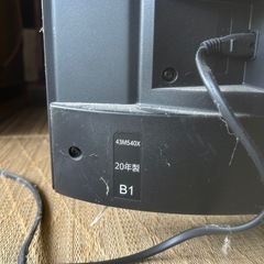 TOSHIBA REGZAの画像