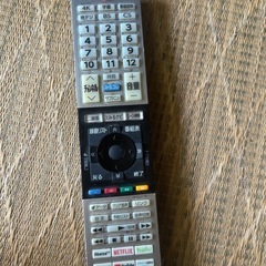 TOSHIBA REGZAの画像