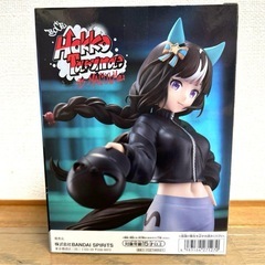 ウマ娘 プリティーダービー BoC'z ホッコータルマエの画像