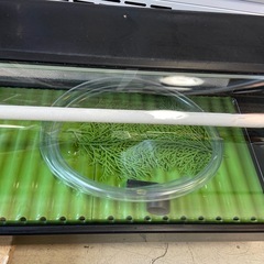 ホシザキ　冷蔵ネタケース　冷蔵ショーケースの画像