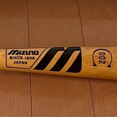 希少！レア！旧ロゴ　ミズノWORLD WIN Professional 002の画像