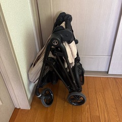 サイベックス　メリオカーボン　ベージュ　⑨の画像