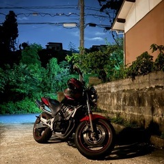 ホーネット250DX HONET250DXの画像