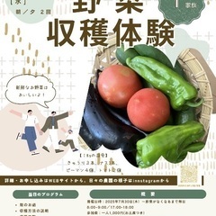 夏野菜収穫体験