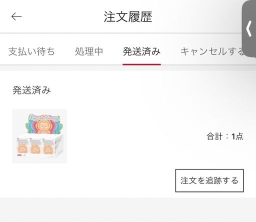 LABUBU BigintoEnergy アソートボックス6点純正品
