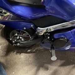ポケバイ　の画像
