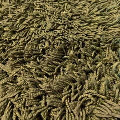 ラグ カーペット グリーンの画像