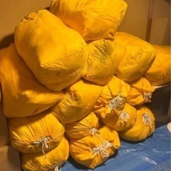 激安✨古着卸📦数量限定❗️無くなり次第終了しますの画像