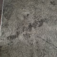 カーペット、ラグ、マットの画像