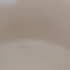 【お渡しお約束中】アイリスオーヤマ 上から猫トイレ  の画像