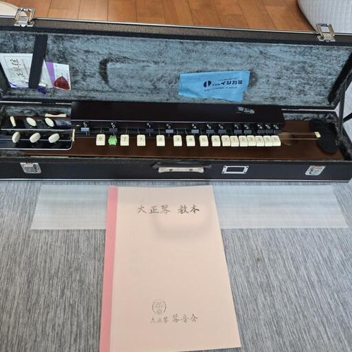 全音大正琴 417BKLkIxAL._UF350,350_QL50_.jpg