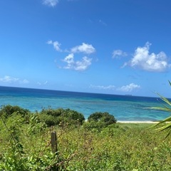 16時終わりでプライベート充実✨ 料理人さん募集！の画像