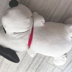 めいぐるみ　Dolls中古の画像