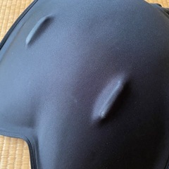 スタイルスタンダード　ボディメイクシートの画像