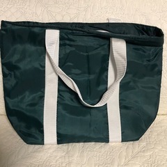 ディアゴスティーニ　保冷バッグの画像