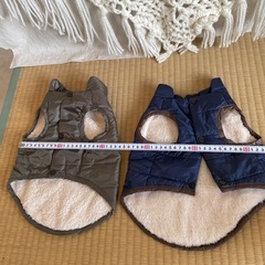 チワワ　お洋服の画像