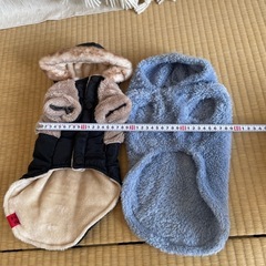 チワワ　お洋服の画像