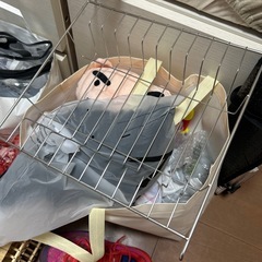 全て引き取ってくれる方(転売OK)の画像