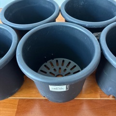 リッチェル 菊鉢（植木鉢） 5号鉢 5個セット の画像