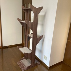 キャットタワー
の画像