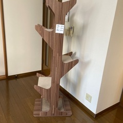 キャットタワー
の画像