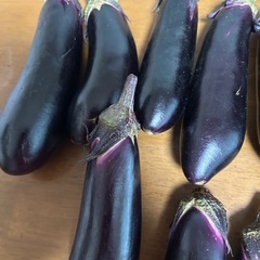 ナスの画像
