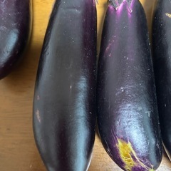 ナスの画像
