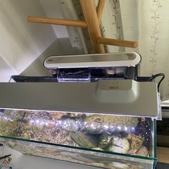 45cm水槽セットをお譲りしますの画像