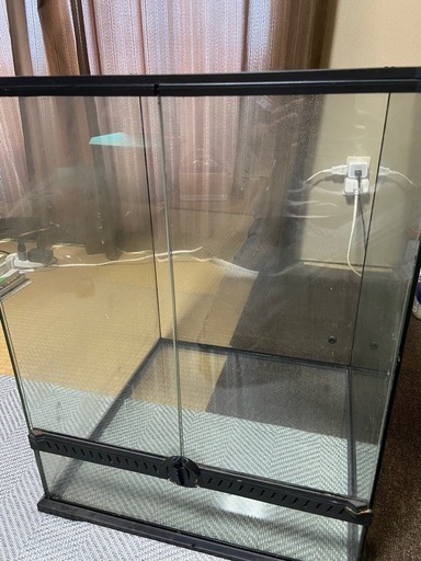 レインフォレストタンクM