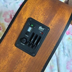 コルト　エレキアコースティックギターの画像