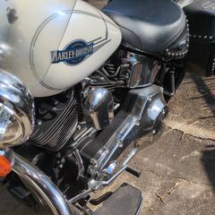 ハーレーダビッドソンの画像