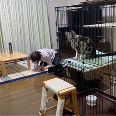 ペットサークルの画像
