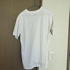 男女兼用　白色Tシャツの画像