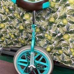 ⭐︎ドリーム2号館⭐︎ブリヂストン 一輪車 SCARE CROW 16インチの画像