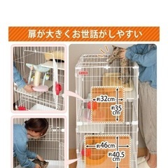 猫　ゲージ　2段　　の画像