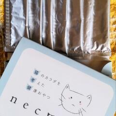 ネコリ🐱necoriの画像