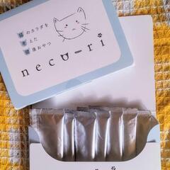 ネコリ🐱necoriの画像