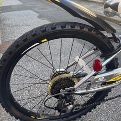 子供用自転車(あさひドライド22インチ)の画像