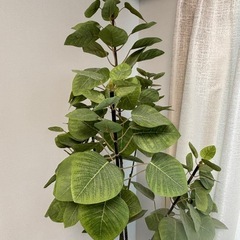 フェイクツリー　フェイクグリーンの画像