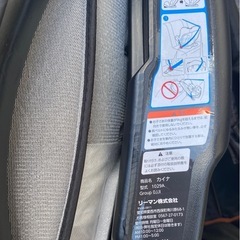 リーマン カイナ 1029Aの画像