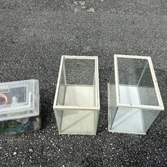 水槽の画像