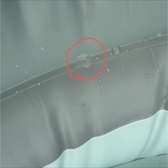 2.6mプール　の画像