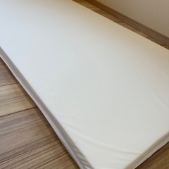 【3枚】トゥルースリーパー　シングルサイズの画像