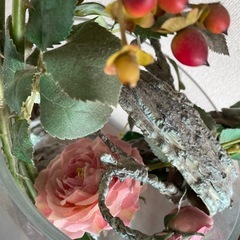 本物のような薔薇の造花　中古の画像