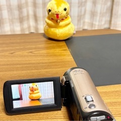 Panasonic HDビデオカメラ HDC -TM45の画像