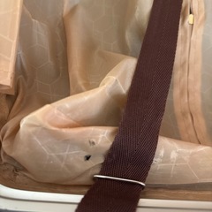 美品　lanbao 機内持ち込み　スーツケース　の画像